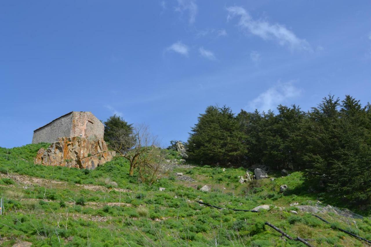 San Mauro Castelverde Casa Panoramica Castelverde מראה חיצוני תמונה